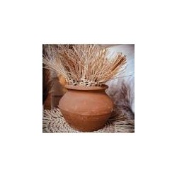 Pot en terre terracotta