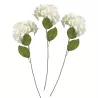 Hortensia blanc sur tige artificiel à la location
