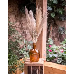 Dame jeanne Ambre 4 litres